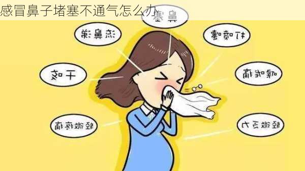 感冒鼻子堵塞不通气怎么办