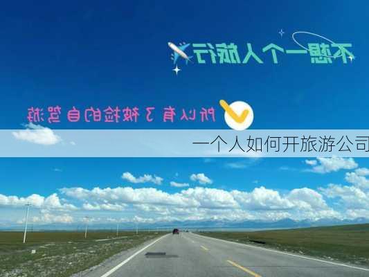 一个人如何开旅游公司