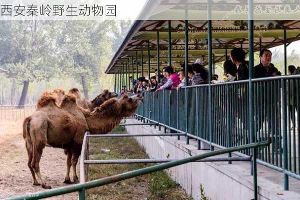 西安秦岭野生动物园