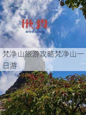 梵净山旅游攻略梵净山一日游