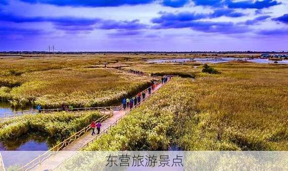 东营旅游景点