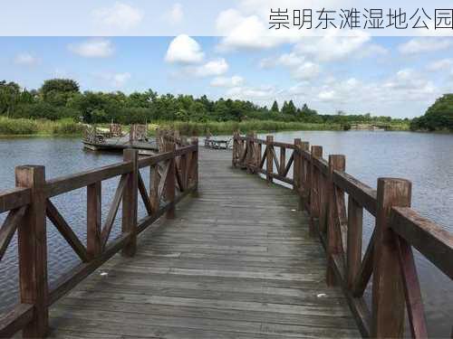 崇明东滩湿地公园