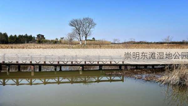 崇明东滩湿地公园