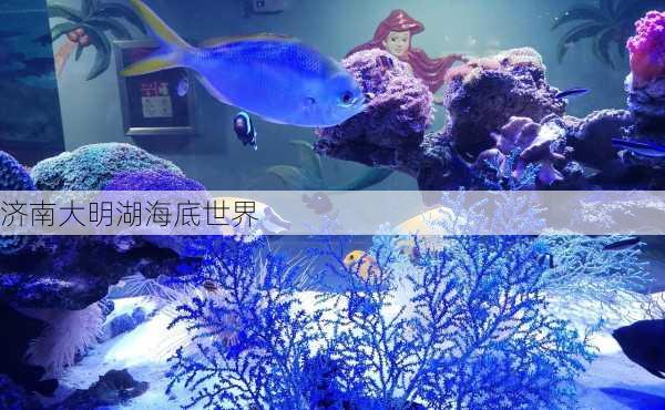 济南大明湖海底世界