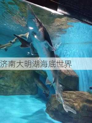 济南大明湖海底世界