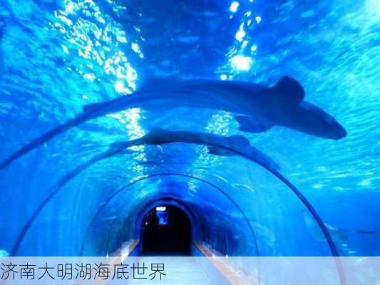 济南大明湖海底世界