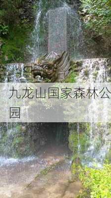 九龙山国家森林公园