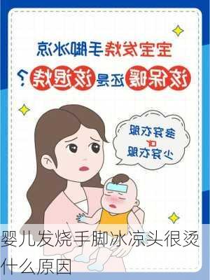 婴儿发烧手脚冰凉头很烫什么原因