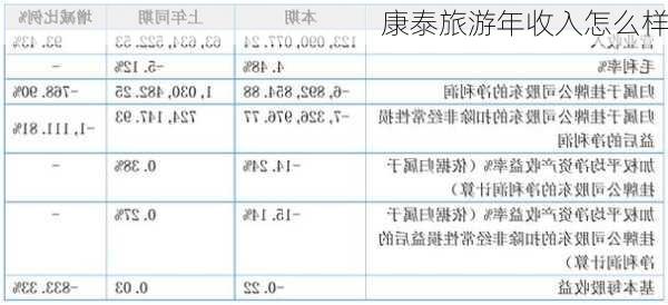 康泰旅游年收入怎么样