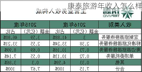 康泰旅游年收入怎么样