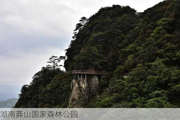 湖南莽山国家森林公园