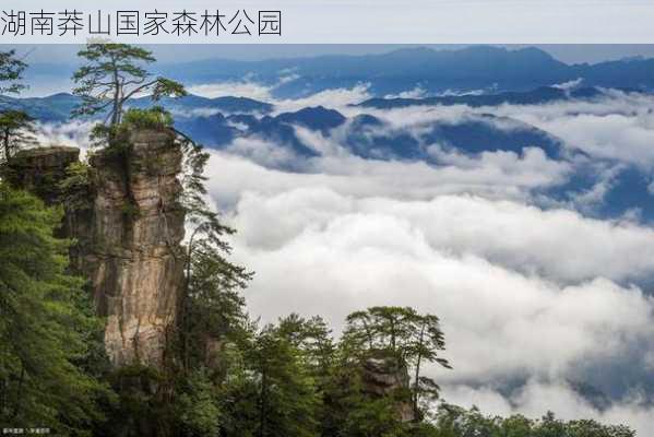 湖南莽山国家森林公园