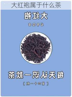 大红袍属于什么茶