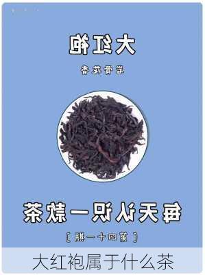 大红袍属于什么茶