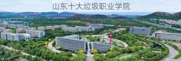 山东十大垃圾职业学院