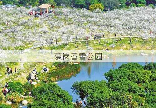 萝岗香雪公园