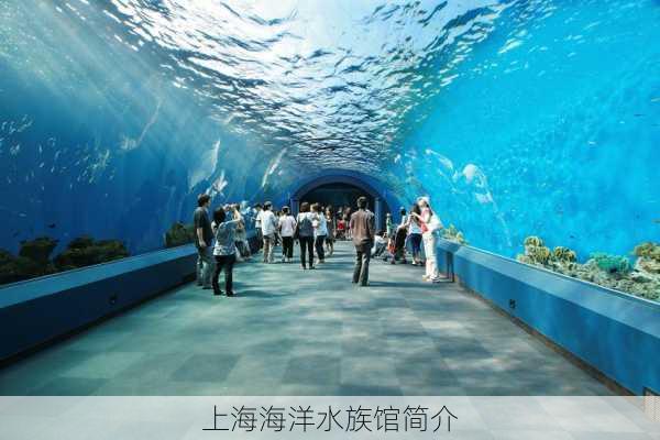 上海海洋水族馆简介