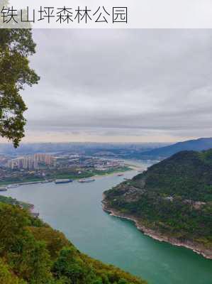 铁山坪森林公园