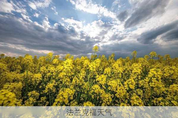 法兰克福天气