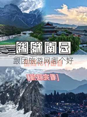 跟团旅游网哪个好