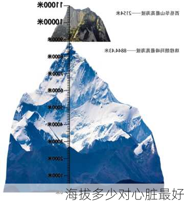 海拔多少对心脏最好