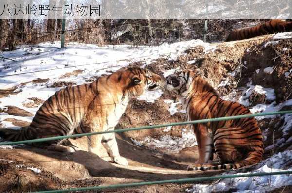 八达岭野生动物园