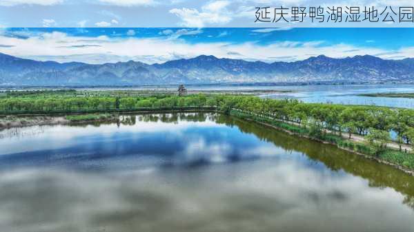 延庆野鸭湖湿地公园