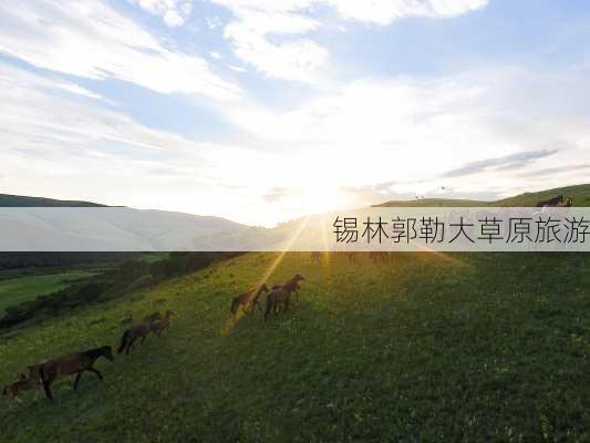 锡林郭勒大草原旅游