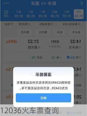 12036火车票查询
