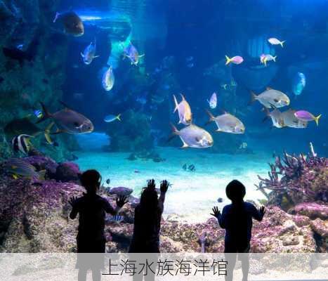 上海水族海洋馆