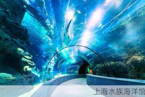 上海水族海洋馆