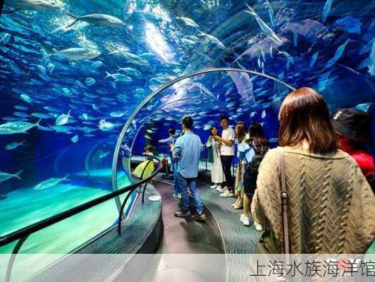 上海水族海洋馆