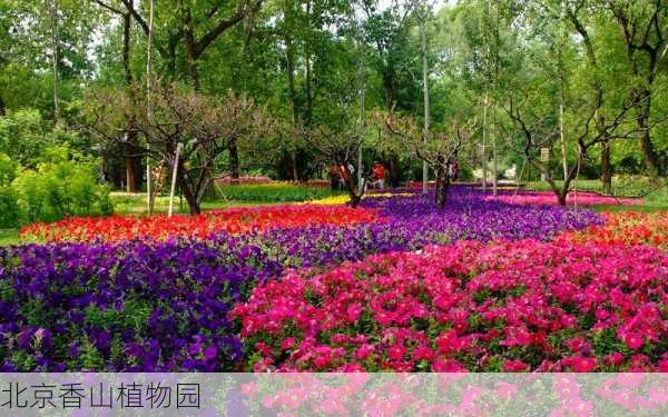 北京香山植物园