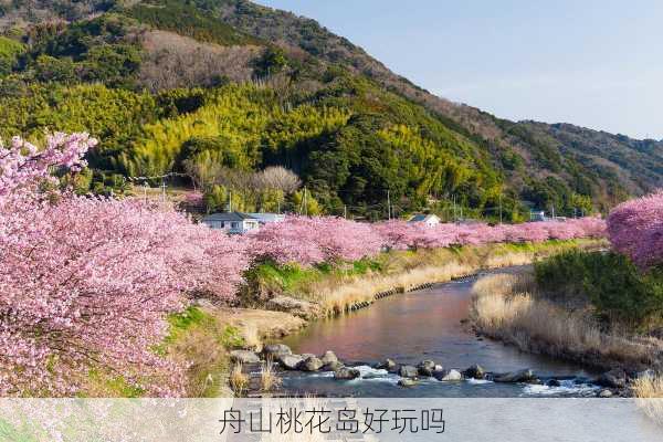 舟山桃花岛好玩吗