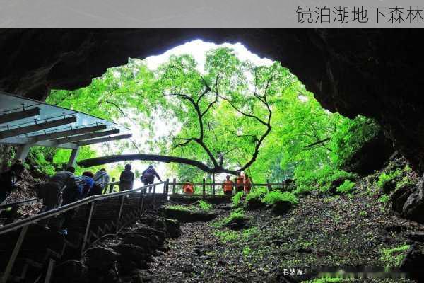 镜泊湖地下森林