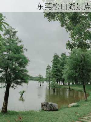 东莞松山湖景点