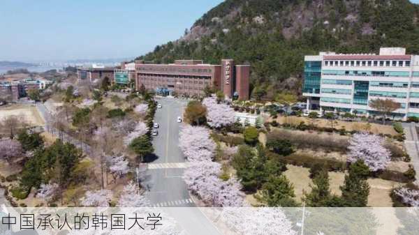 中国承认的韩国大学