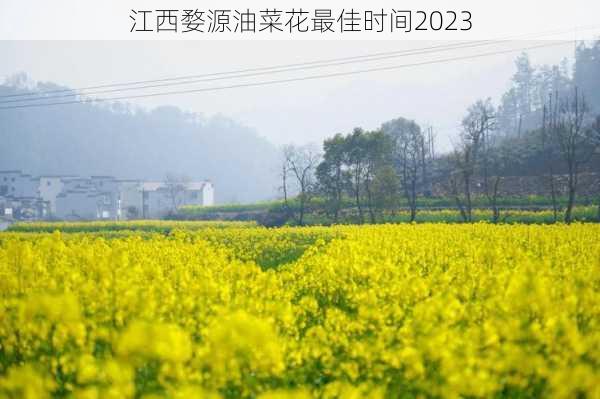 江西婺源油菜花最佳时间2023