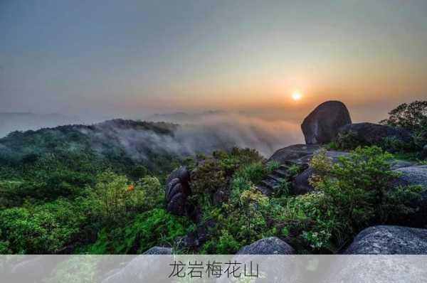 龙岩梅花山