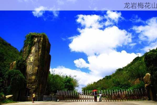 龙岩梅花山