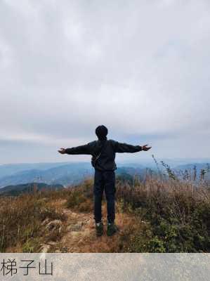 梯子山