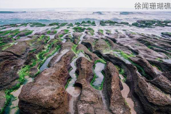 徐闻珊瑚礁