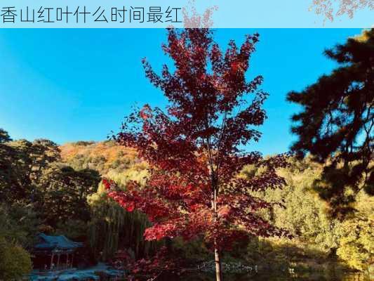 香山红叶什么时间最红