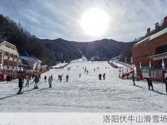 洛阳伏牛山滑雪场