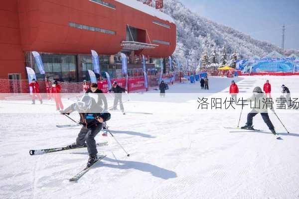 洛阳伏牛山滑雪场