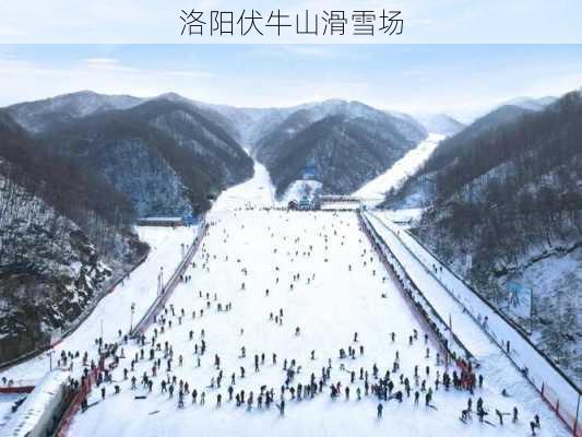 洛阳伏牛山滑雪场