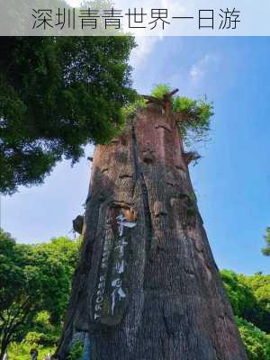 深圳青青世界一日游