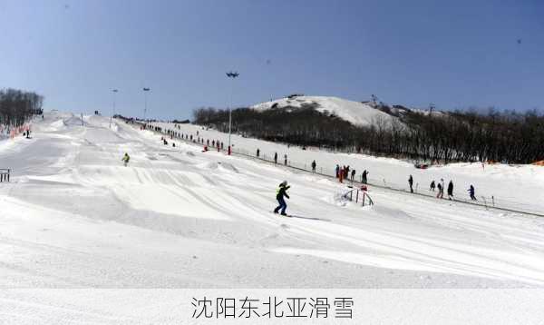 沈阳东北亚滑雪