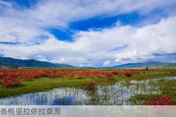 香格里拉依拉草原