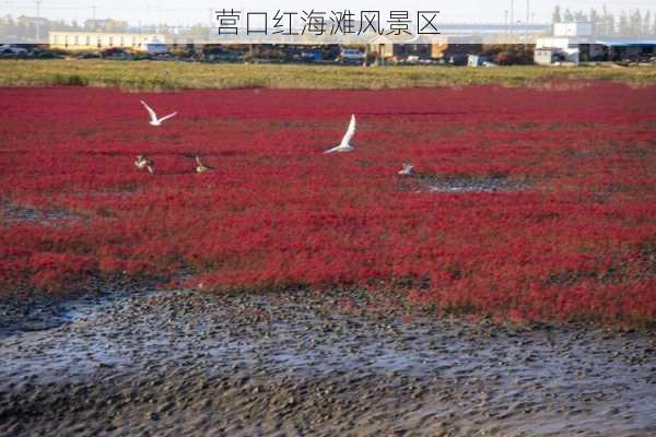 营口红海滩风景区